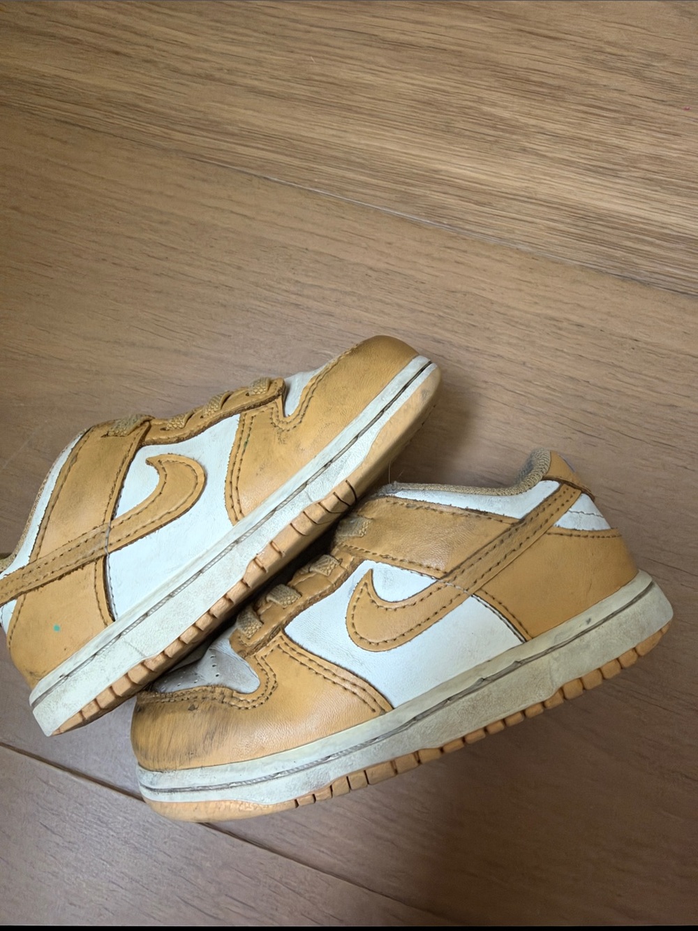 Limited Edition Toddler Nike Dunks